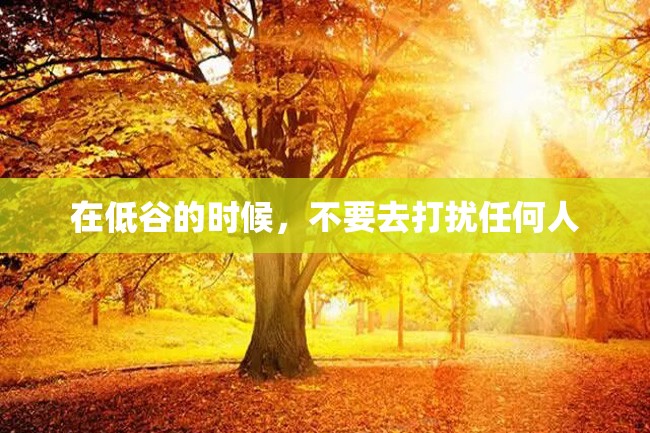 在低谷的时候,不要去打扰任何人