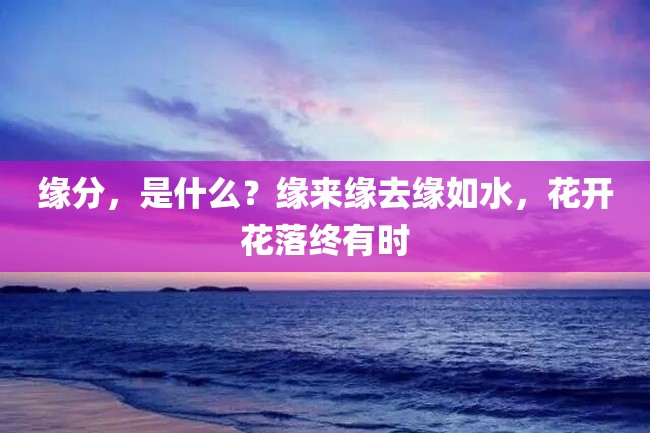 缘分,是什么?缘来缘去缘如水,花开花落终有时