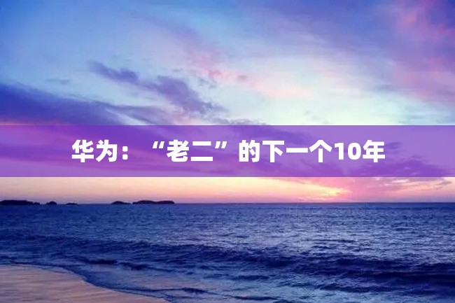 华为:“老二”的下一个10年