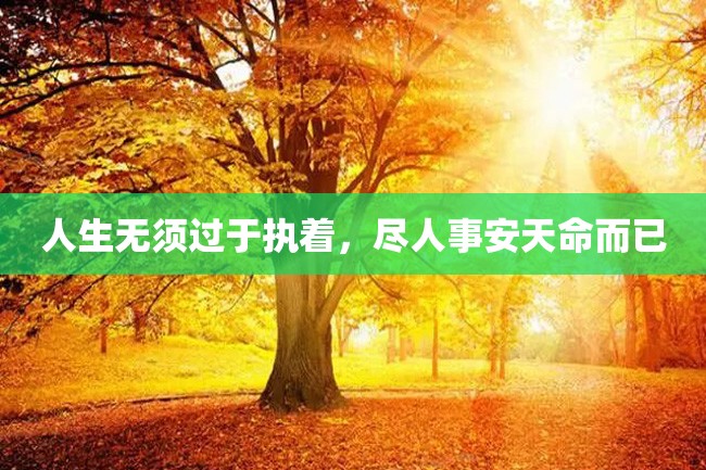 人生无须过于执着,尽人事安天命而已