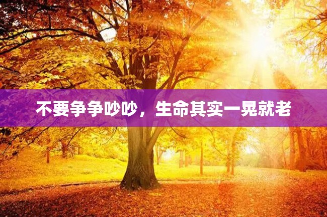 不要争争吵吵,生命其实一晃就老