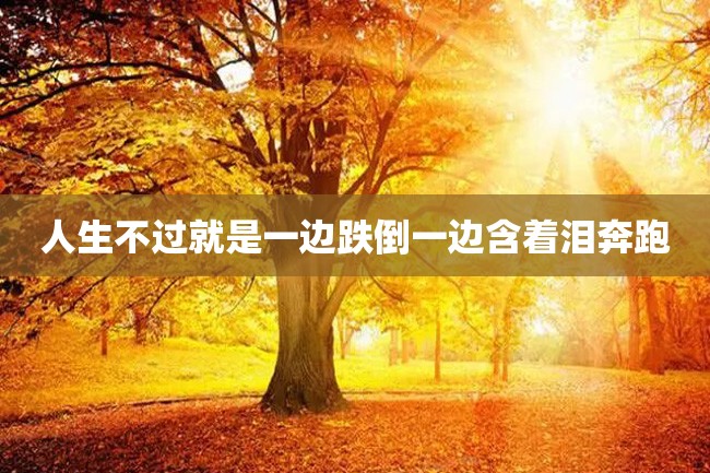 人生不过就是一边跌倒一边含着泪奔跑