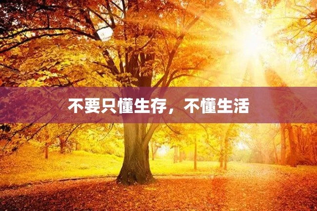 不要只懂生存,不懂生活