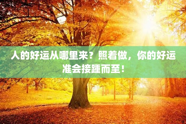 人的好运从哪里来?照着做,你的好运准会接踵而至!