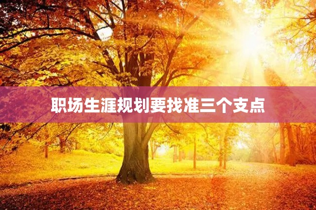 职场生涯规划要找准三个支点
