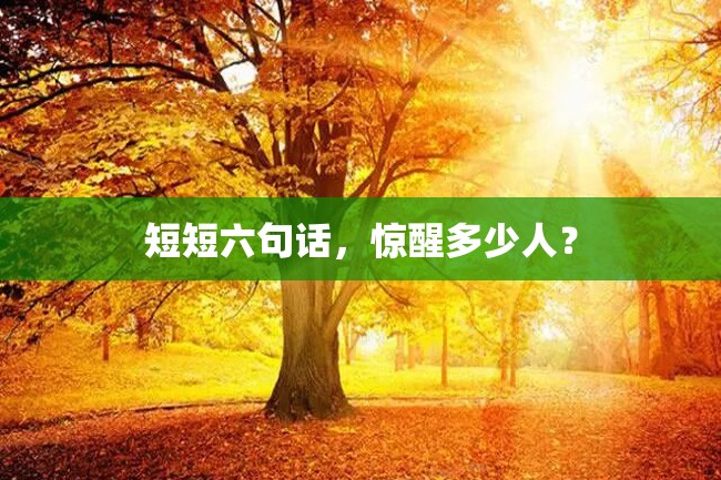 短短六句话,惊醒多少人?