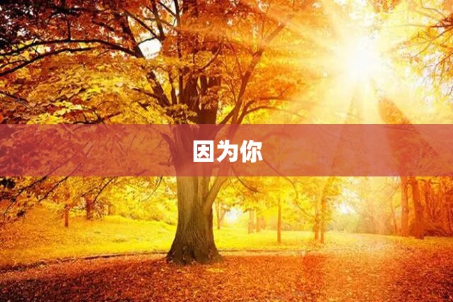 因为你