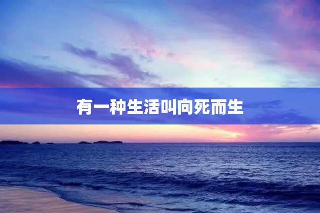 有一种生活叫向死而生