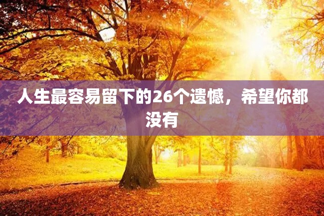 人生最容易留下的26个遗憾，希望你都没有
