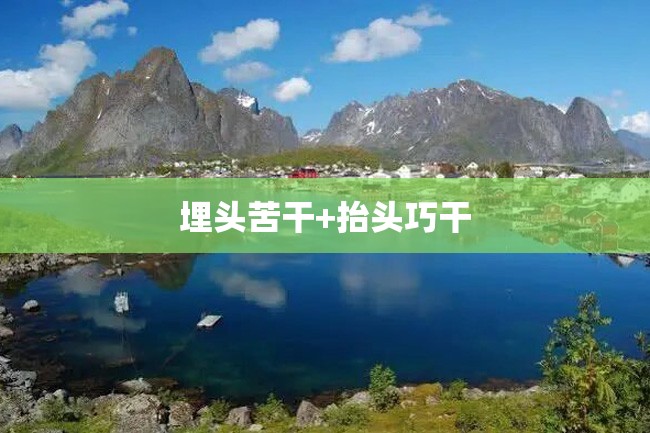 埋头苦干+抬头巧干