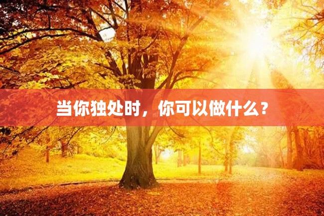 当你独处时，你可以做什么？