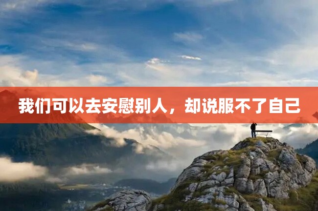 我们可以去安慰别人,却说服不了自己