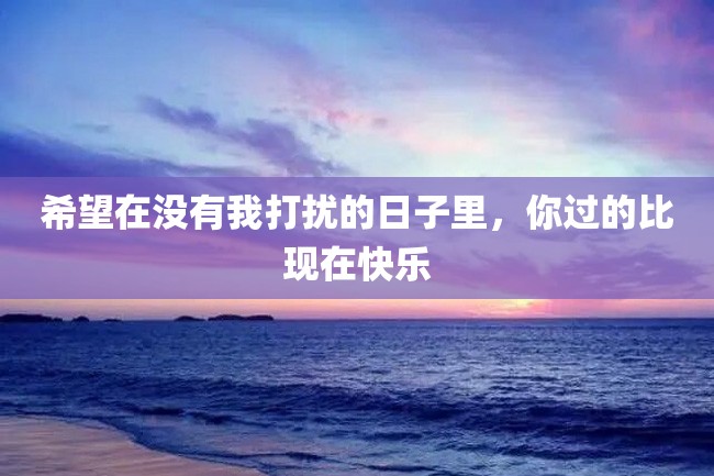 希望在没有我打扰的日子里,你过的比现在快乐