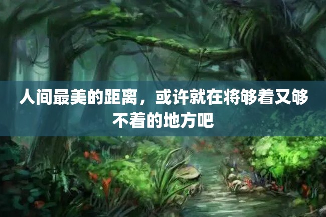 人间最美的距离,或许就在将够着又够不着的地方吧