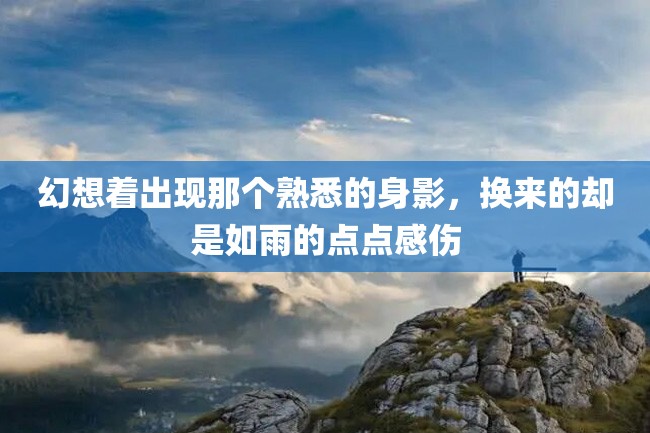 幻想着出现那个熟悉的身影,换来的却是如雨的点点感伤