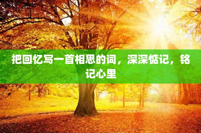 把回忆写一首相思的词,深深惦记,铭记心里