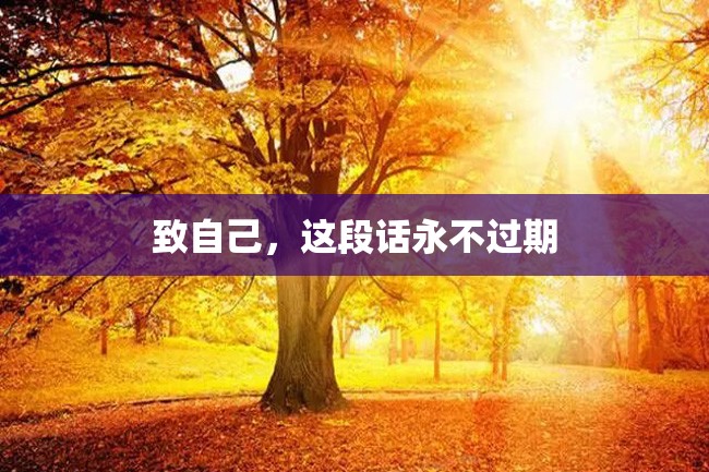 致自己,这段话永不过期