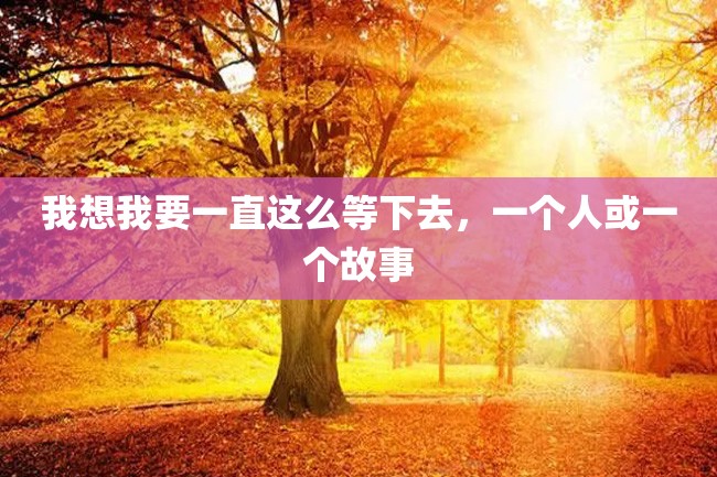 我想我要一直这么等下去,一个人或一个故事