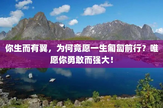 你生而有翼,为何竟愿一生匍匐前行?唯愿你勇敢而强大!