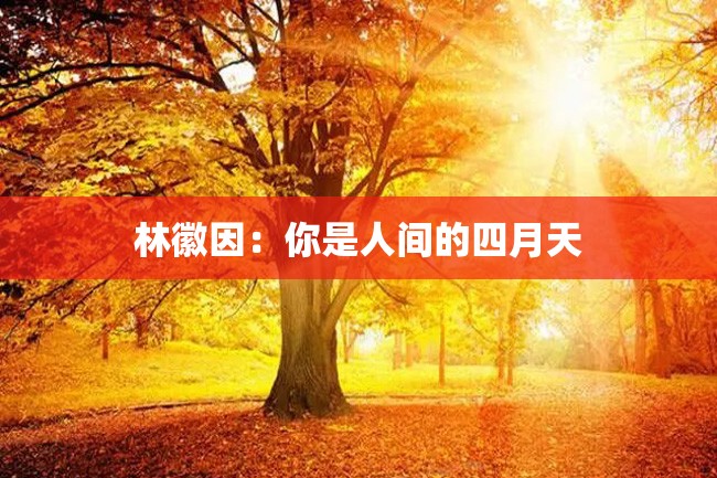 林徽因:你是人间的四月天