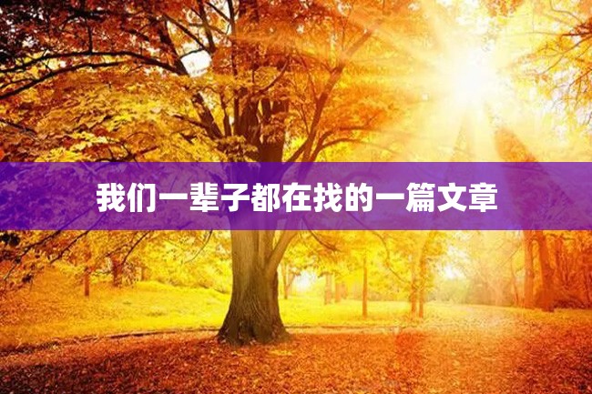我们一辈子都在找的一篇文章
