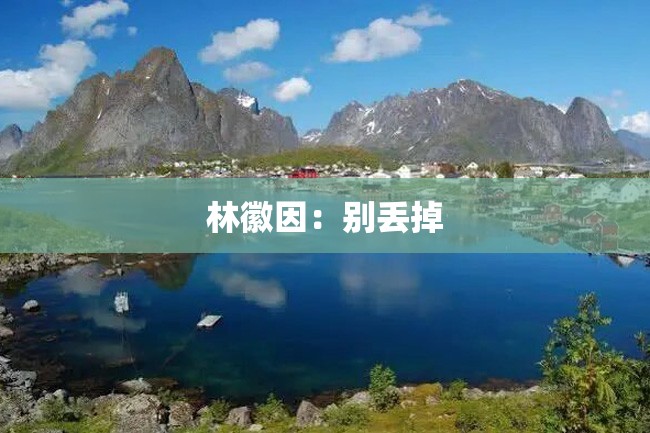 林徽因:别丢掉