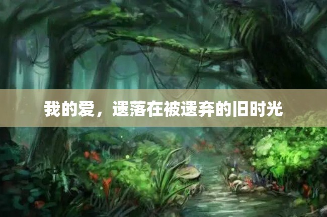 我的爱,遗落在被遗弃的旧时光