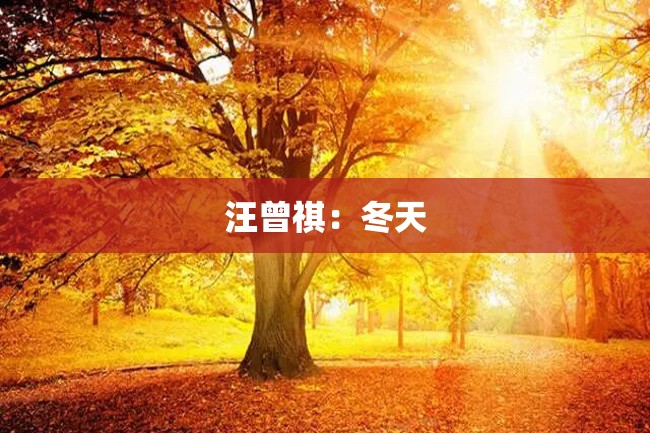 汪曾祺:冬天