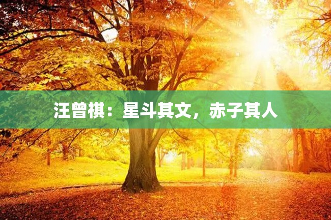 汪曾祺:星斗其文,赤子其人