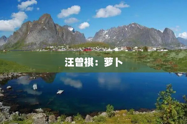 汪曾祺:萝卜