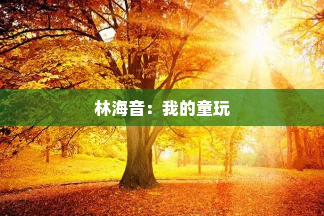 林海音:我的童玩