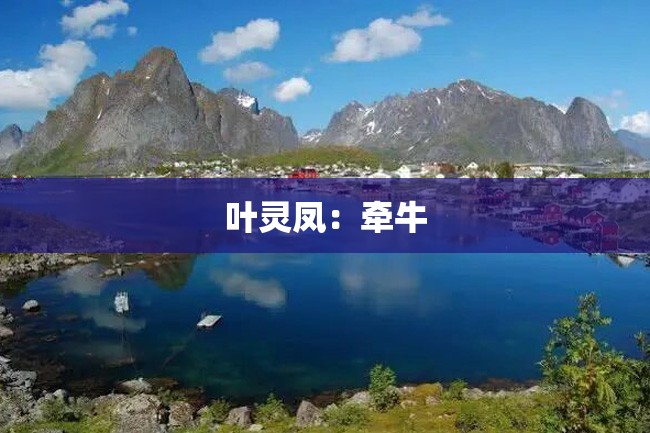 叶灵凤:牵牛