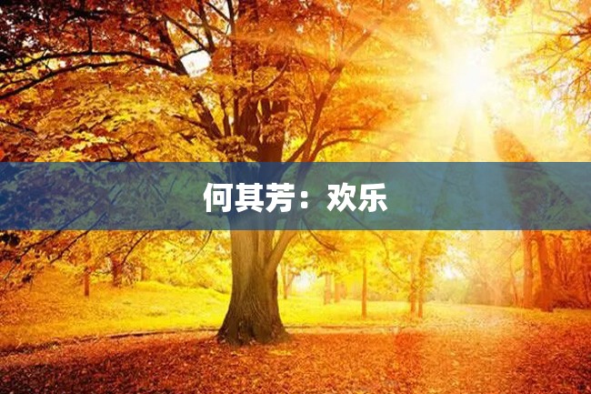 何其芳：欢乐
