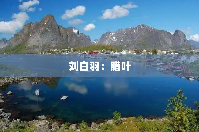 刘白羽:腊叶