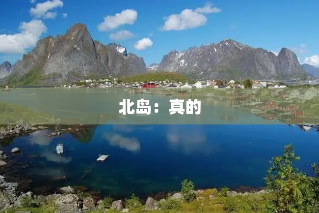 北岛:真的