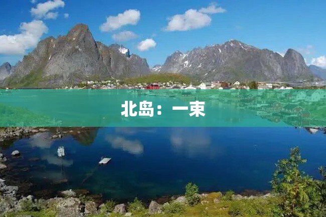 北岛:一束