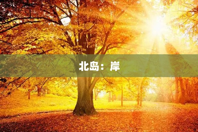 北岛:岸