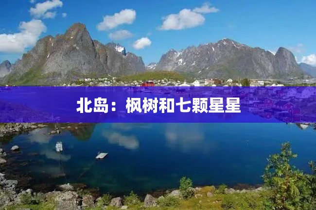 北岛:枫树和七颗星星