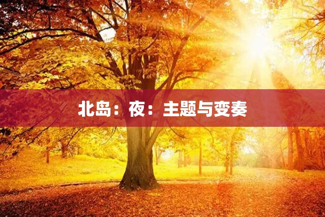 北岛:夜:主题与变奏