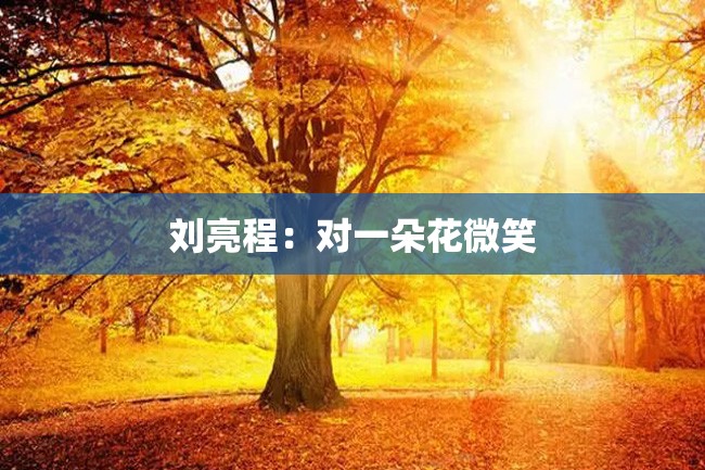 刘亮程:对一朵花微笑
