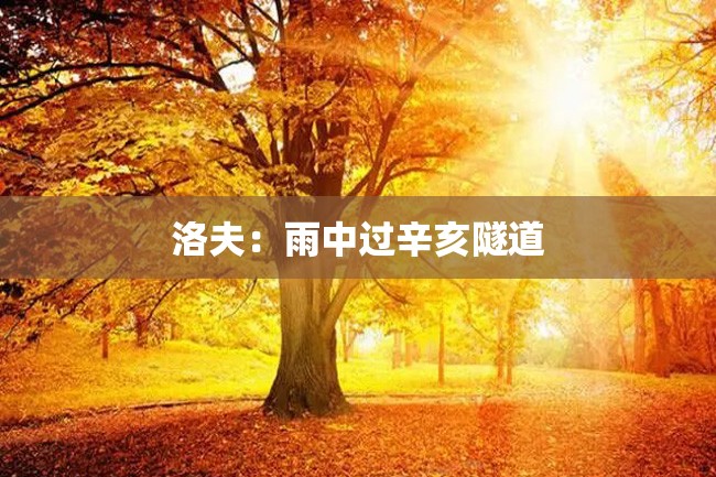 洛夫:雨中过辛亥隧道