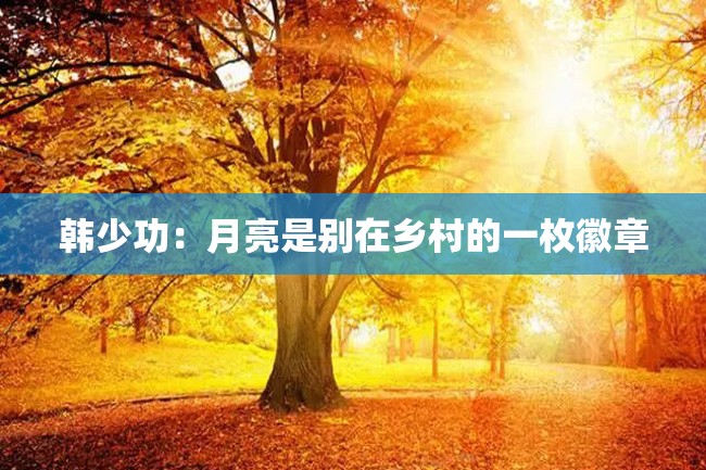 韩少功:月亮是别在乡村的一枚徽章