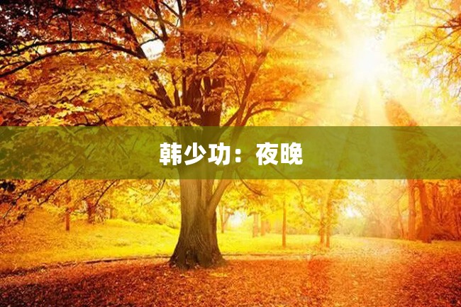 韩少功:夜晚