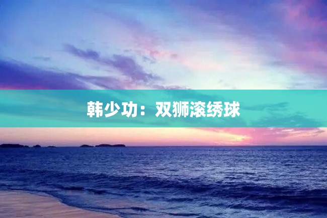 韩少功：双狮滚绣球