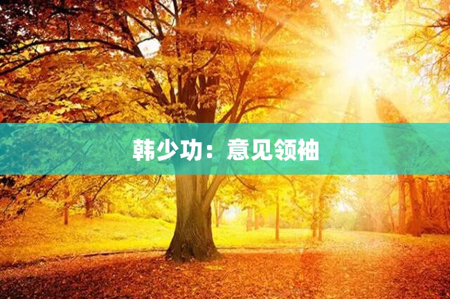 韩少功:意见领袖