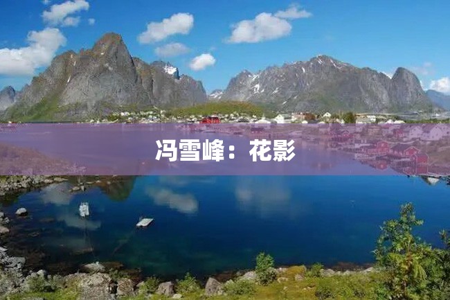 冯雪峰:花影