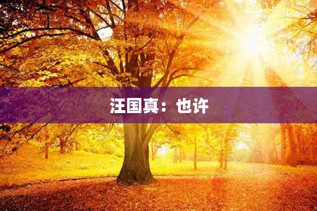 汪国真：也许