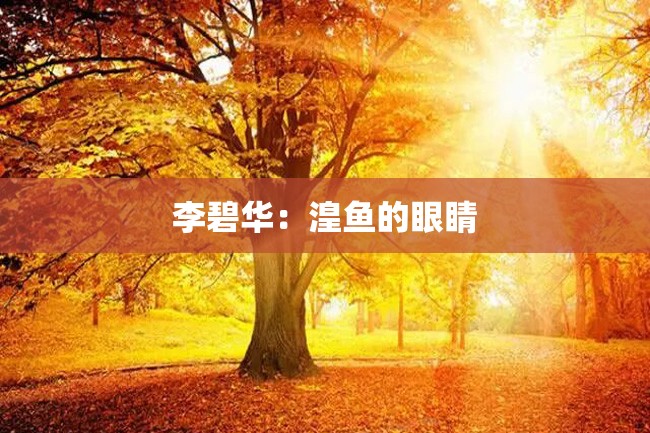 李碧华:湟鱼的眼睛