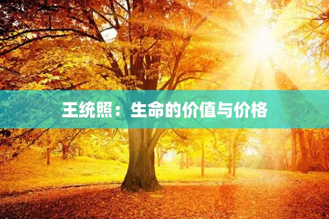 王统照:生命的价值与价格