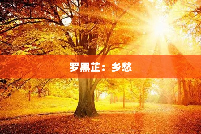 罗黑芷:乡愁
